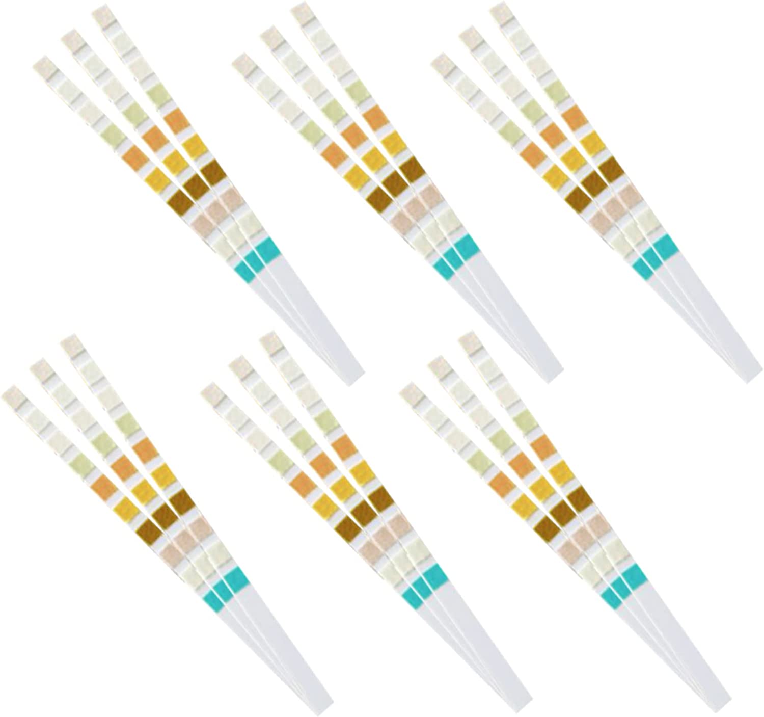 URS-10T Urine Test Strips 10 P - đánh giá và giá Urinalysis Reagent Strip